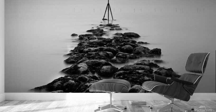 Receding Tide Wall Murals