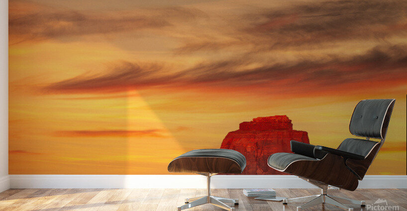 Red Tip Sunset Wall Murals