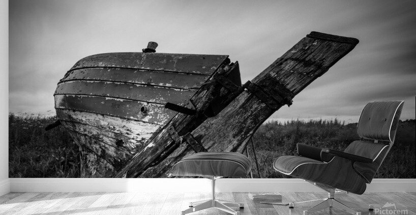 St Cyrus Wreck Wall Murals