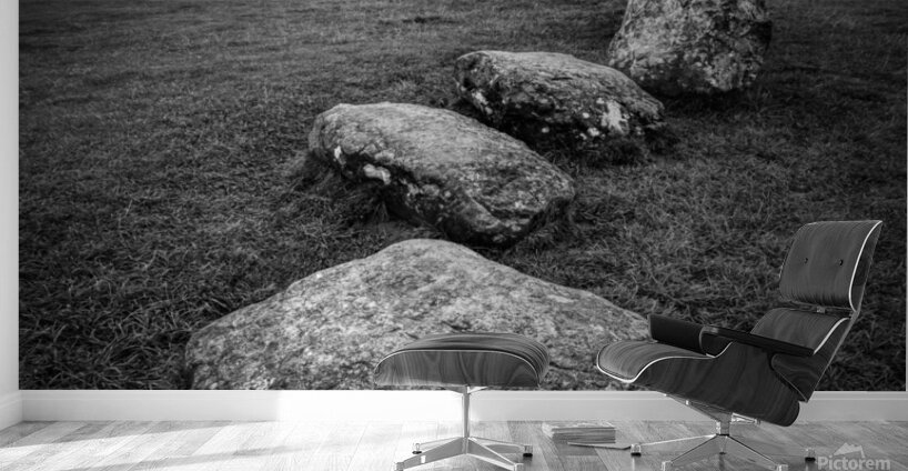 Castlerigg Stone Circle I Wall Murals