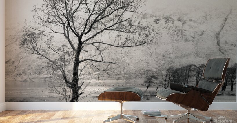 Loch Etive Tree Wall Murals