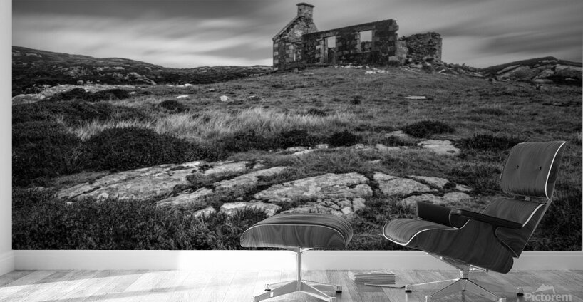 Abandoned Schoolhouse Wall Murals