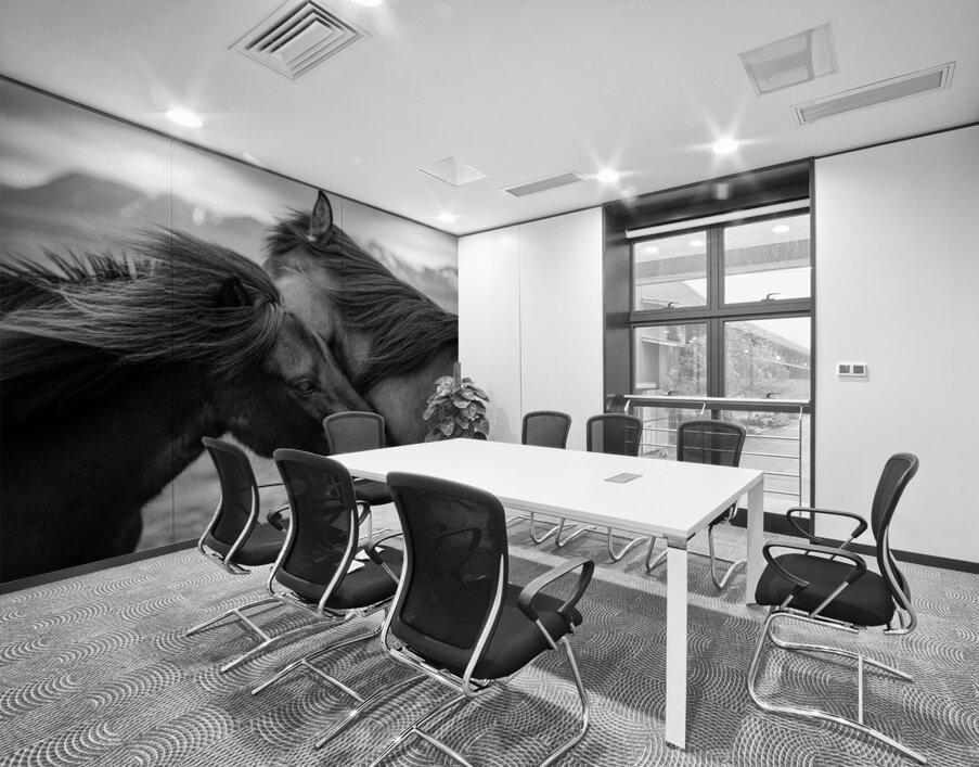 Wild Icelandic Horses Wall Printing