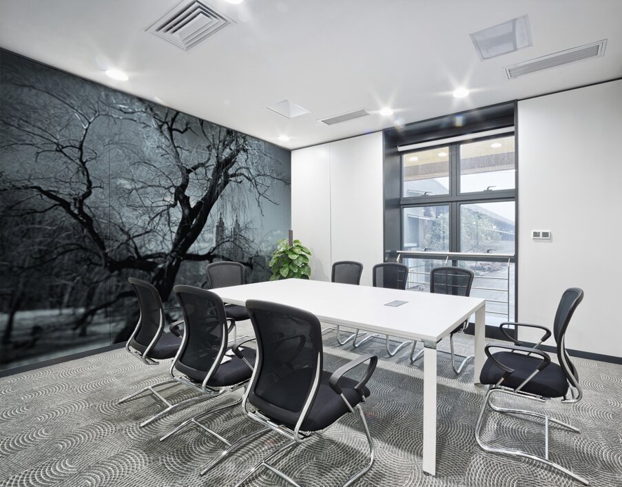 Winter in Central Park Wall Printing