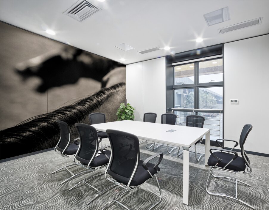 Horse Play Wall Printing