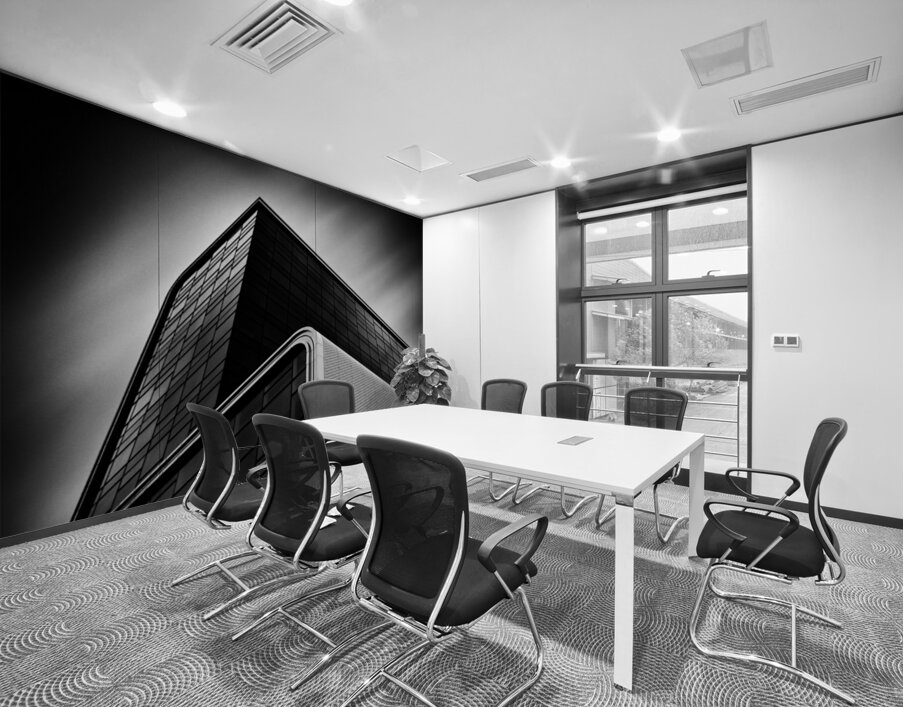 The RAI II Wall Printing