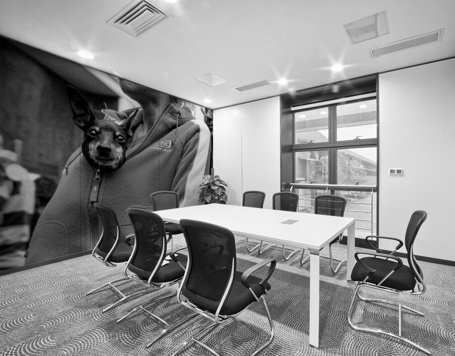 Hitchhiker Wall Printing