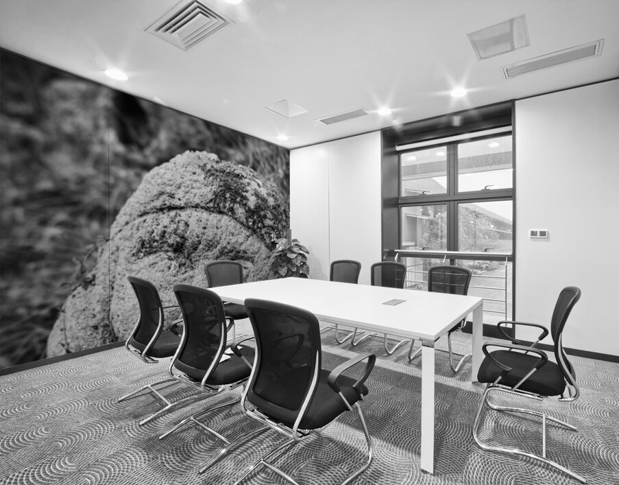 Smiling Rakan Wall Printing