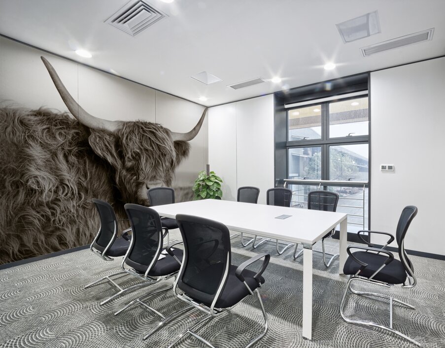 Highland Coo Wall Printing