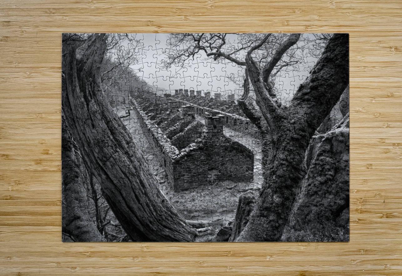 Anglesey Barracks Dave Bowman Puzzle printing