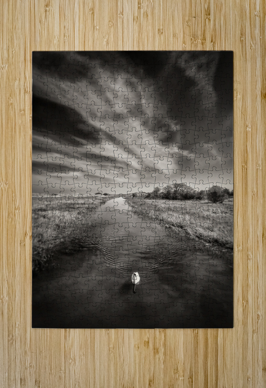 White Swan Dave Bowman Puzzle printing