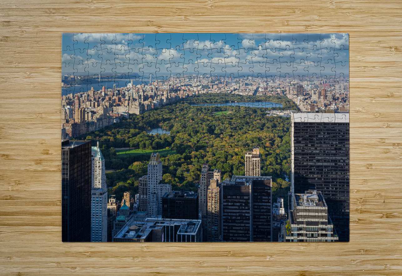 Central Park Dave Bowman Puzzle printing