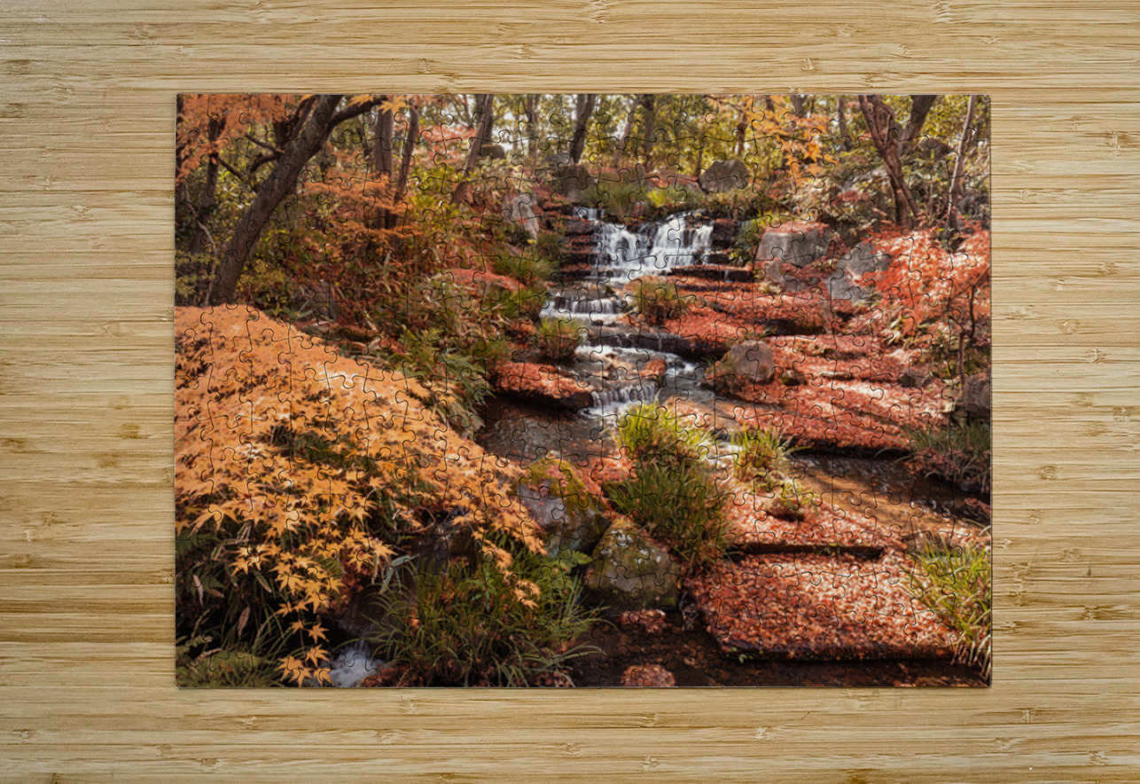 Autumn in Kokoen Garden Dave Bowman Puzzle printing