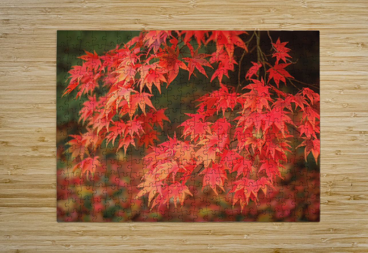 Japanese Red Maple Dave Bowman Puzzle printing