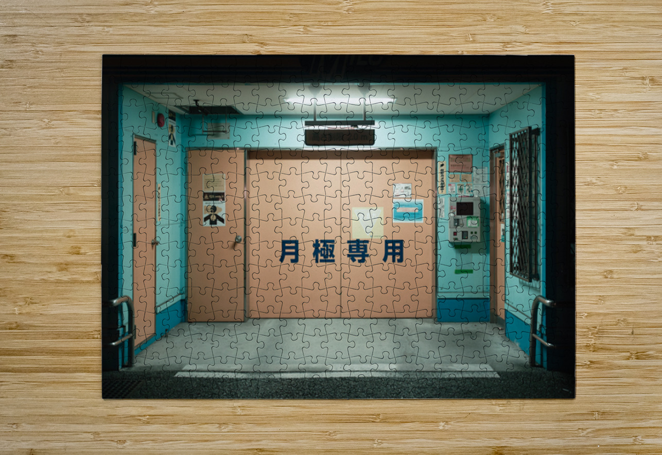 Osaka Parking Entrance Dave Bowman Puzzle printing