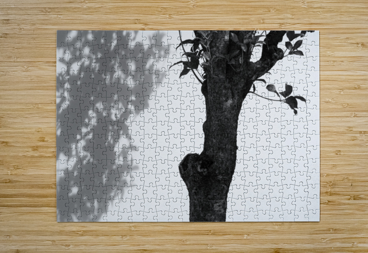 Nijo Castle Tree Dave Bowman Puzzle printing