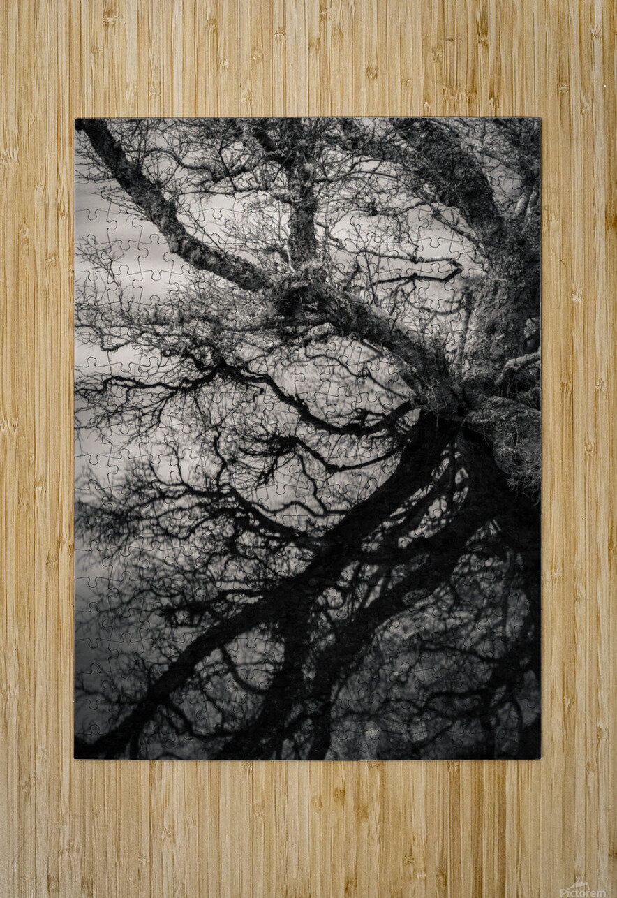 Lochan Na Cuilce Reflections Dave Bowman Puzzle printing