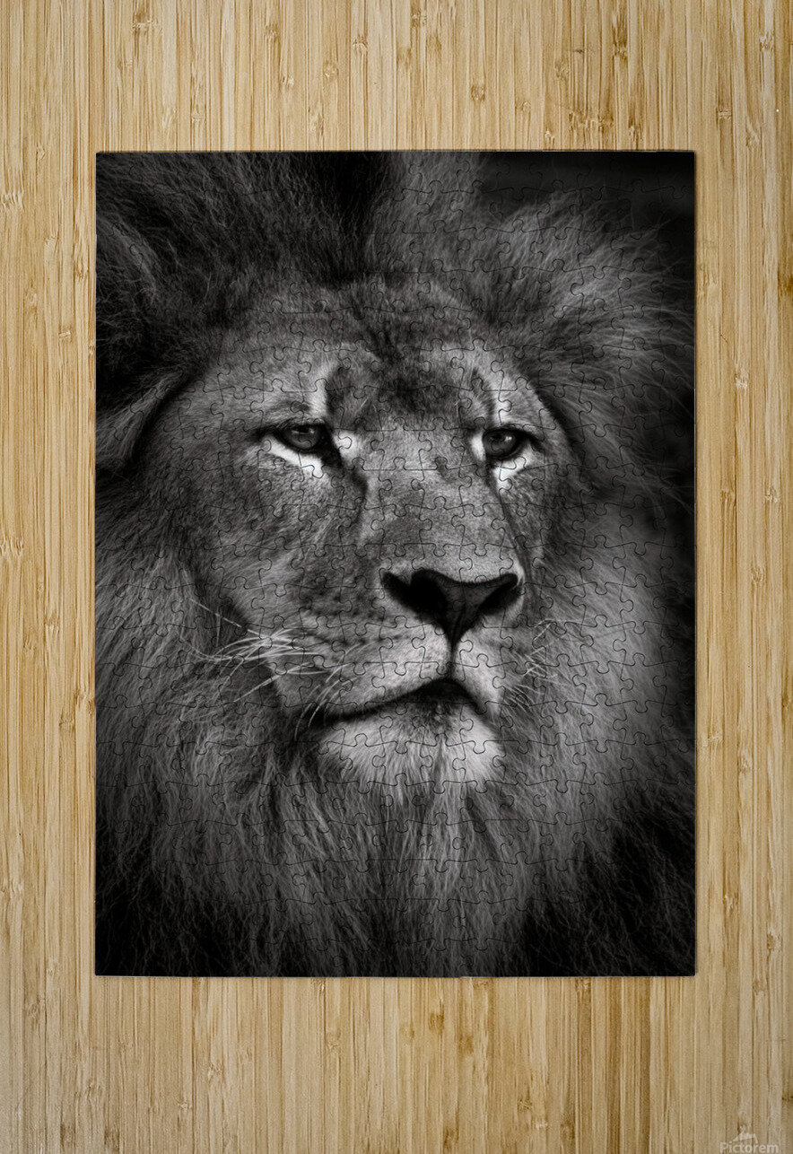 Lion Dave Bowman Puzzle printing