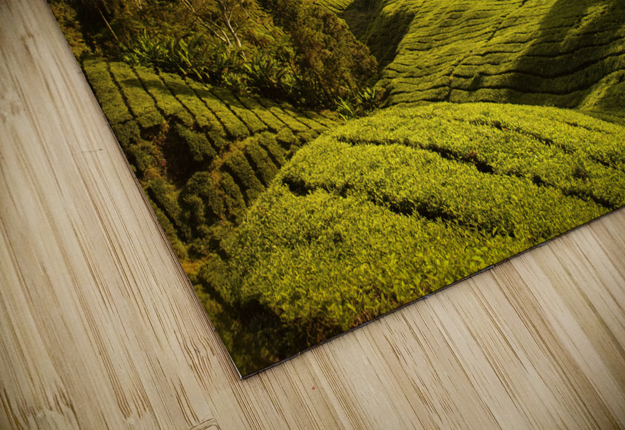 Tea Plantation Sunrise Dave Bowman Puzzle