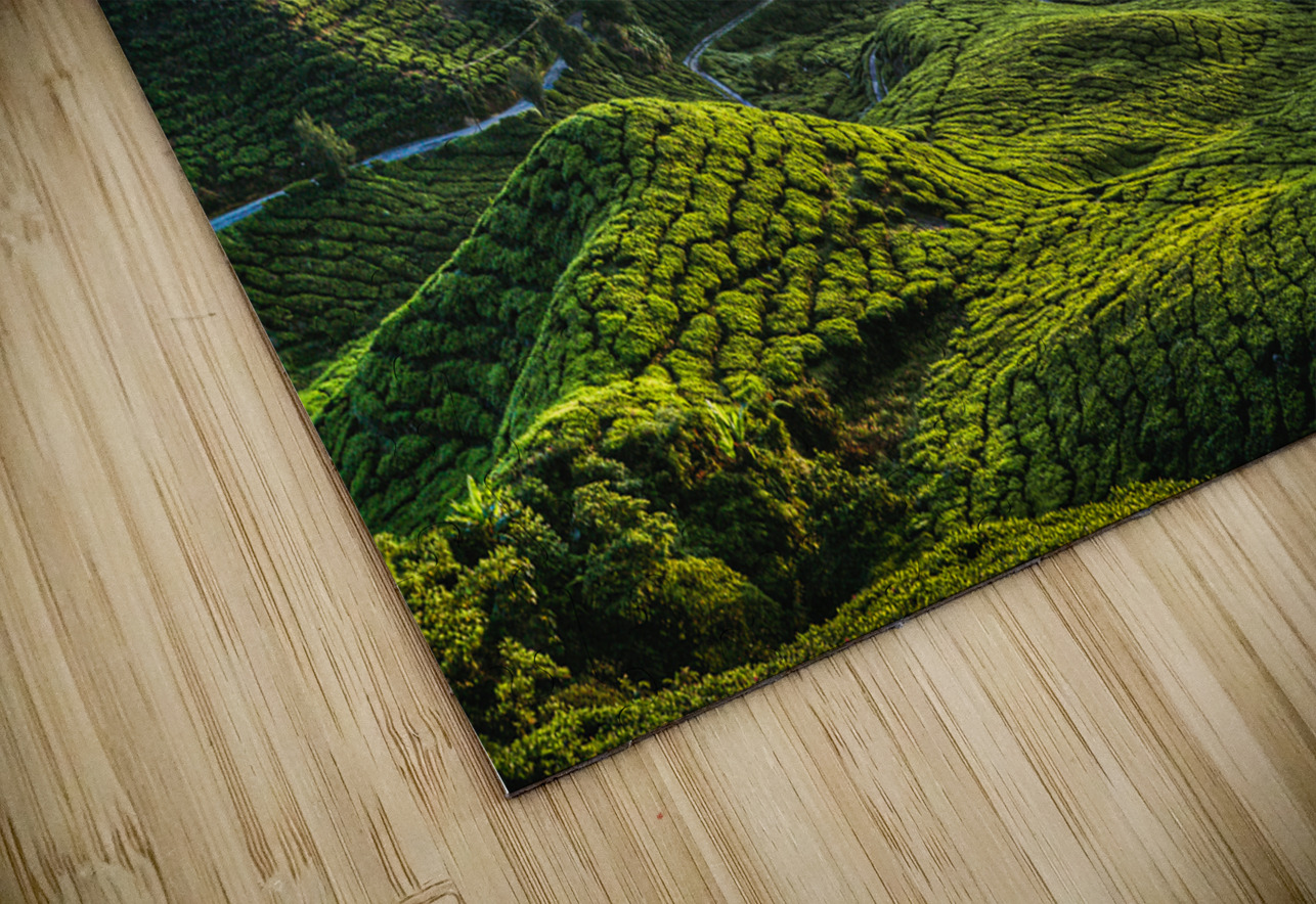 Tea Plantation at Dawn Dave Bowman Puzzle