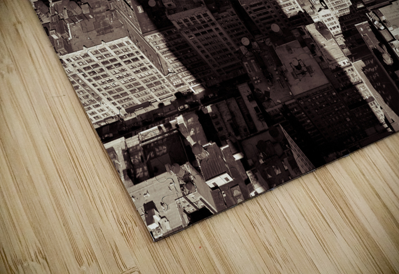 New York Shadow Dave Bowman Puzzle