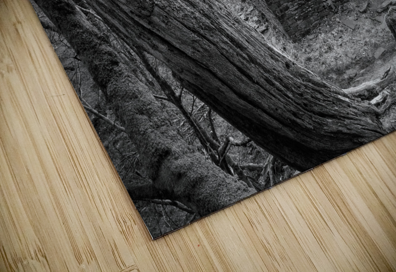 Anglesey Barracks Dave Bowman Puzzle