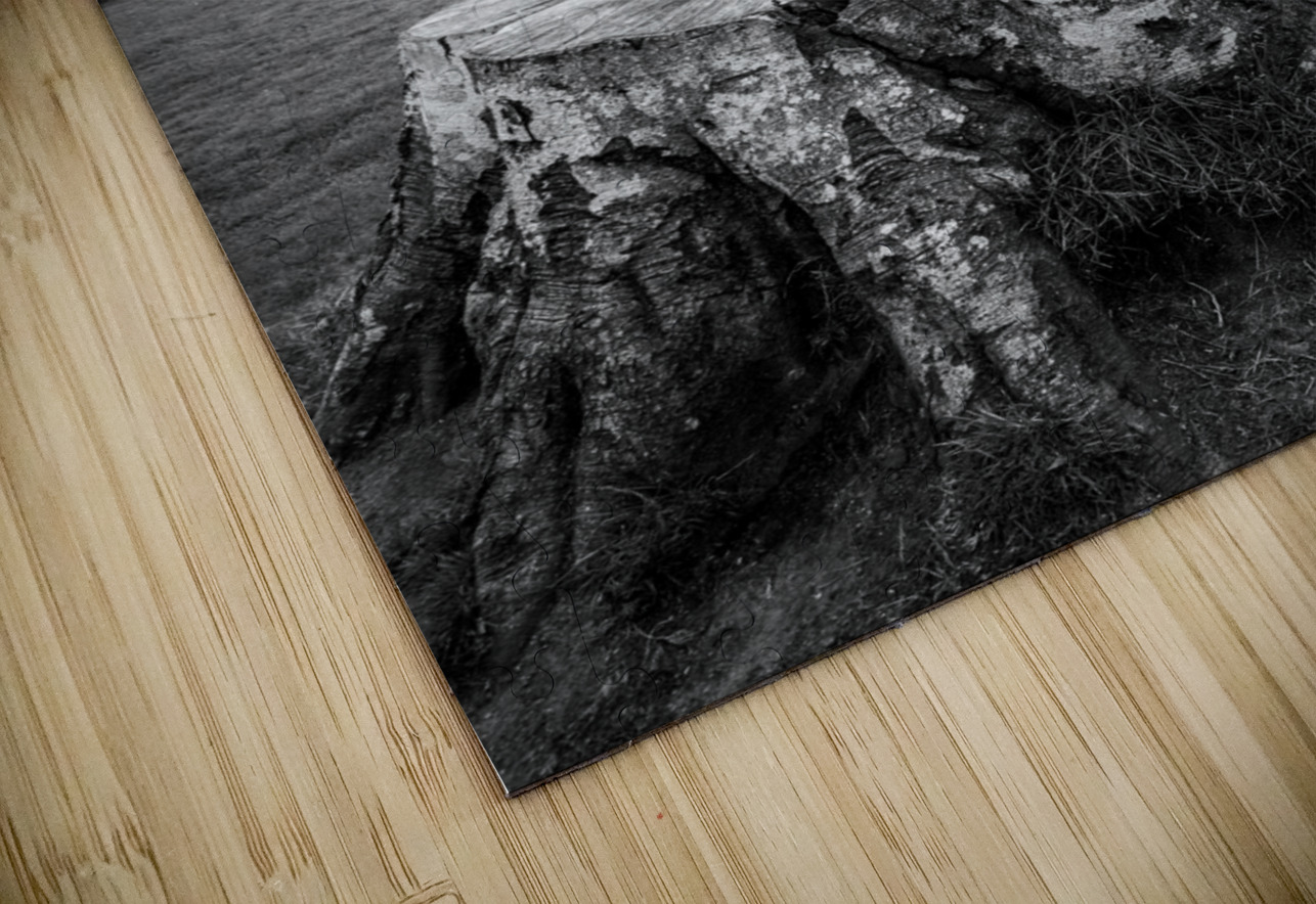 Castle Fraser Dave Bowman Puzzle