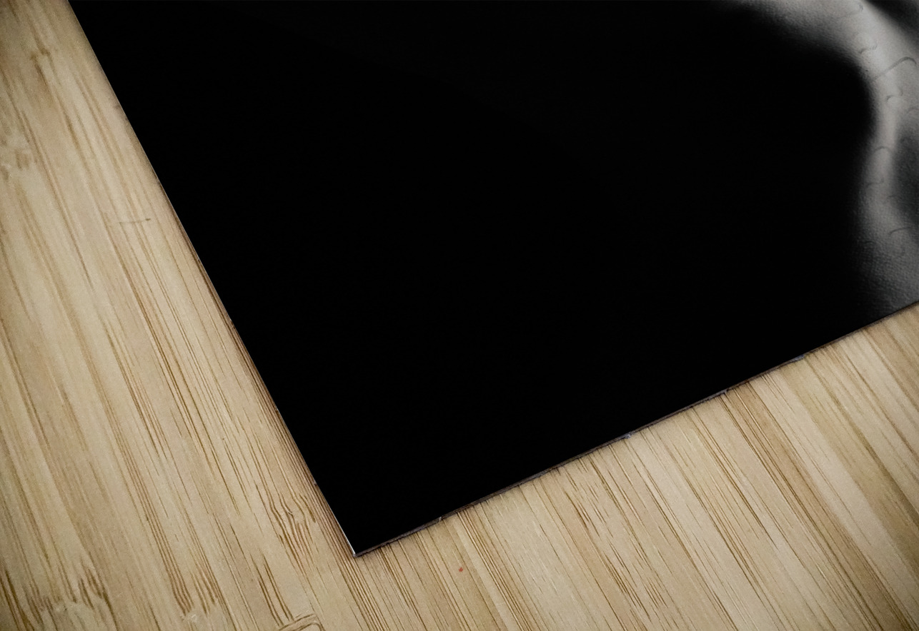 Nude Study No12 Dave Bowman Puzzle