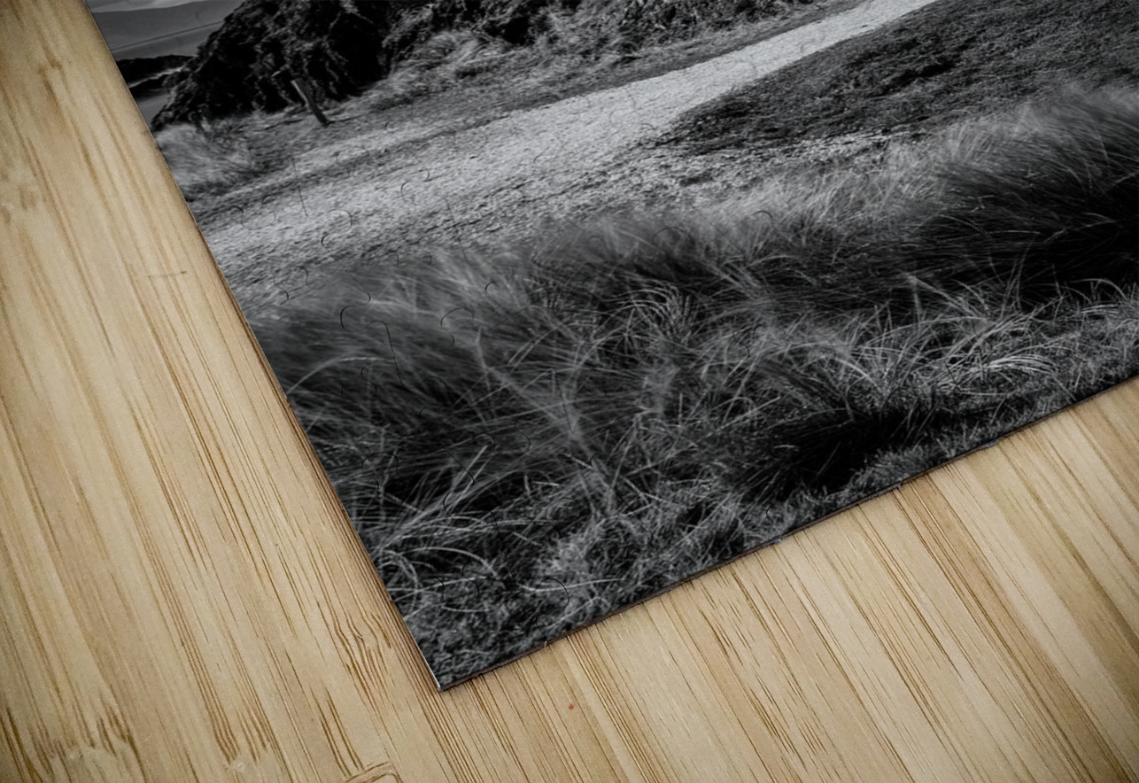 Twr Mawr Lighthouse Dave Bowman Puzzle