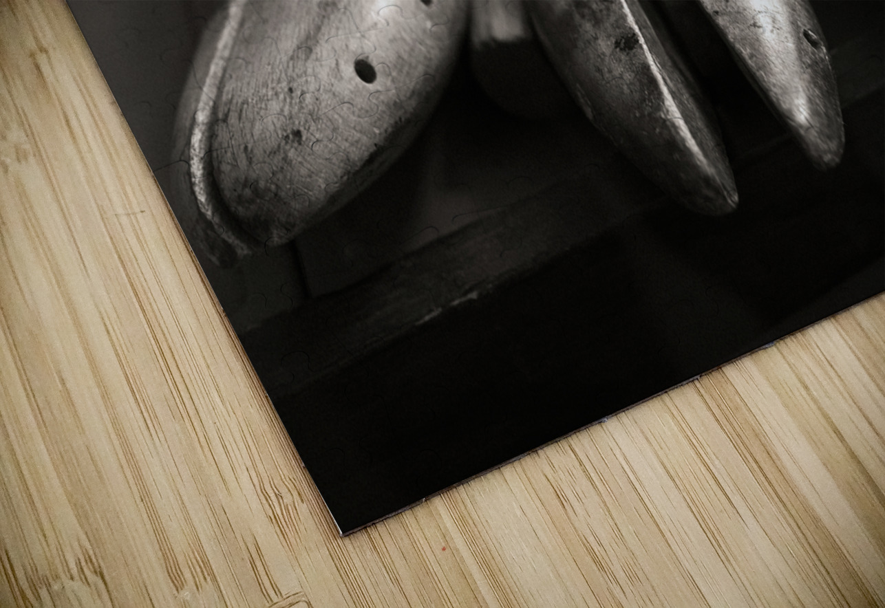 Vintage Shoe Lasts Dave Bowman Puzzle