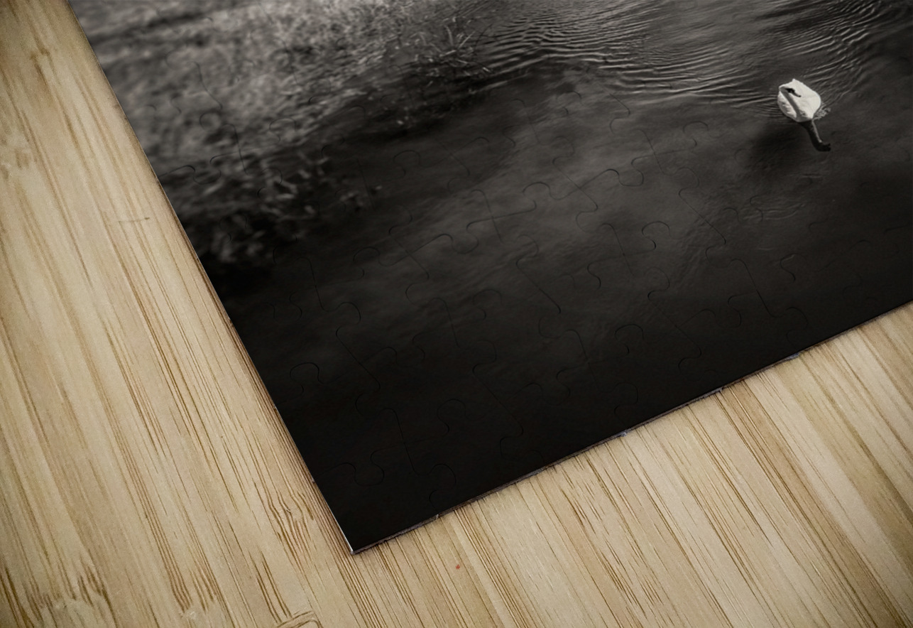 White Swan Dave Bowman Puzzle