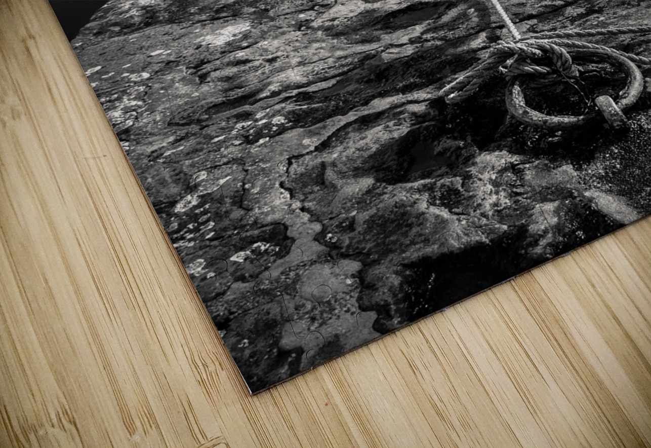 Ring and Rope Dave Bowman Puzzle