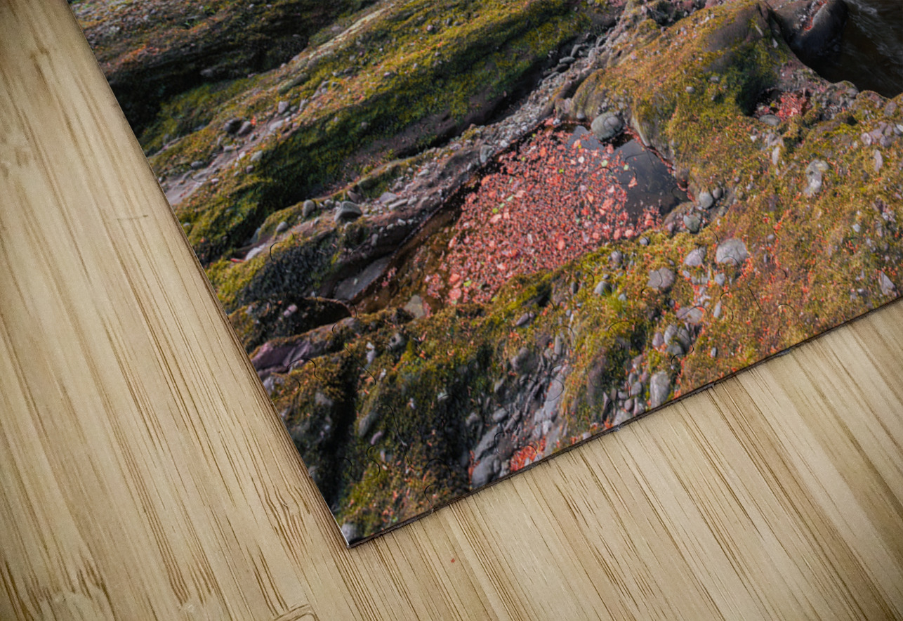 Gannochy Bridge Dave Bowman Puzzle