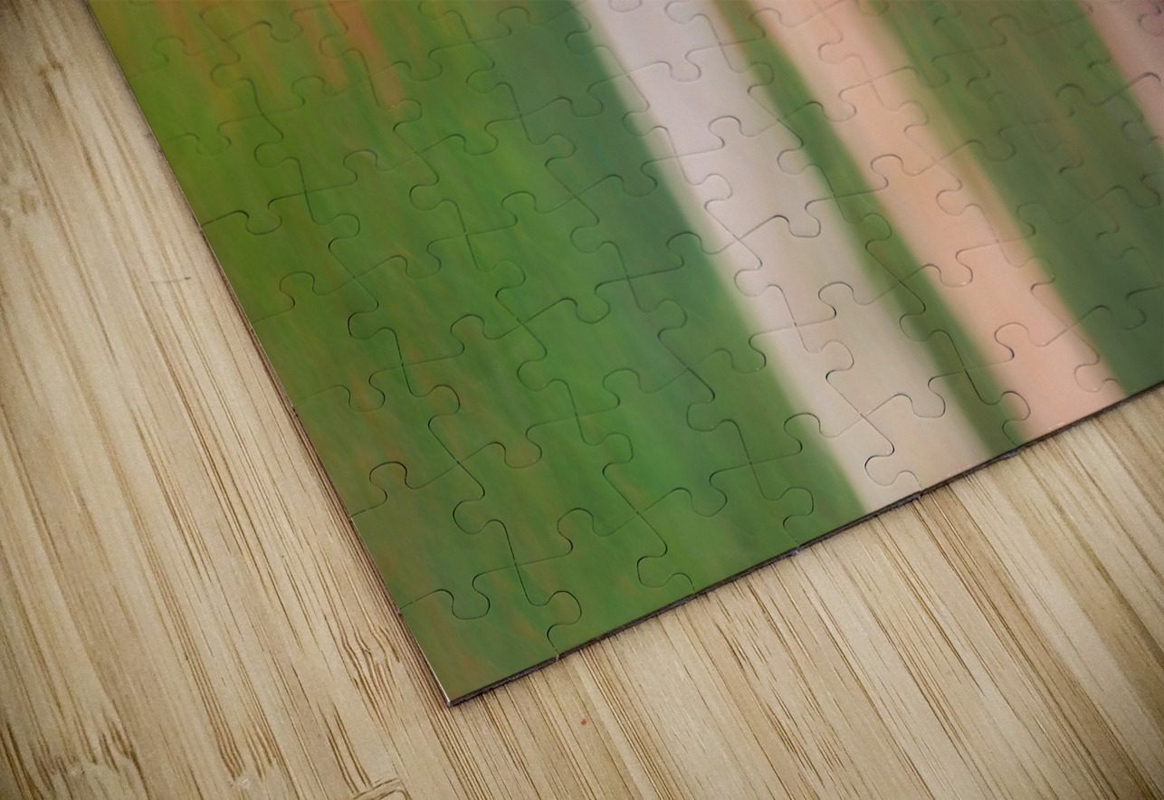 Maple in Motion Dave Bowman Puzzle