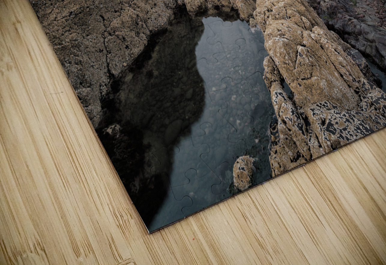 Scurdie Ness Dave Bowman Puzzle