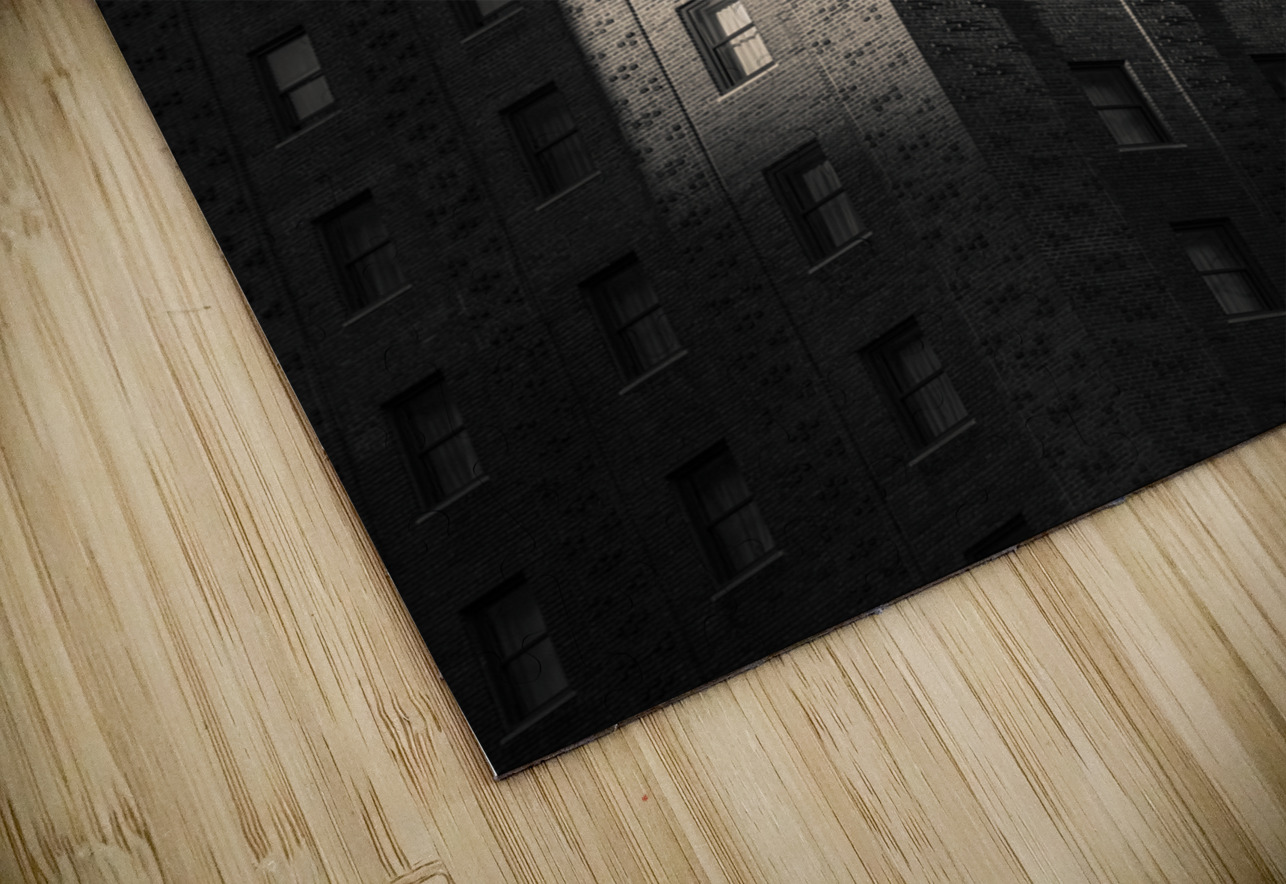 Sunlight on the Allerton Hotel Dave Bowman Puzzle