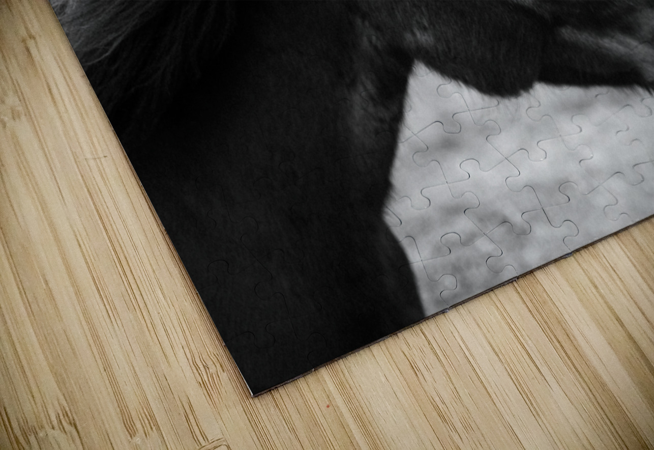 Wild Icelandic Horses Dave Bowman Puzzle