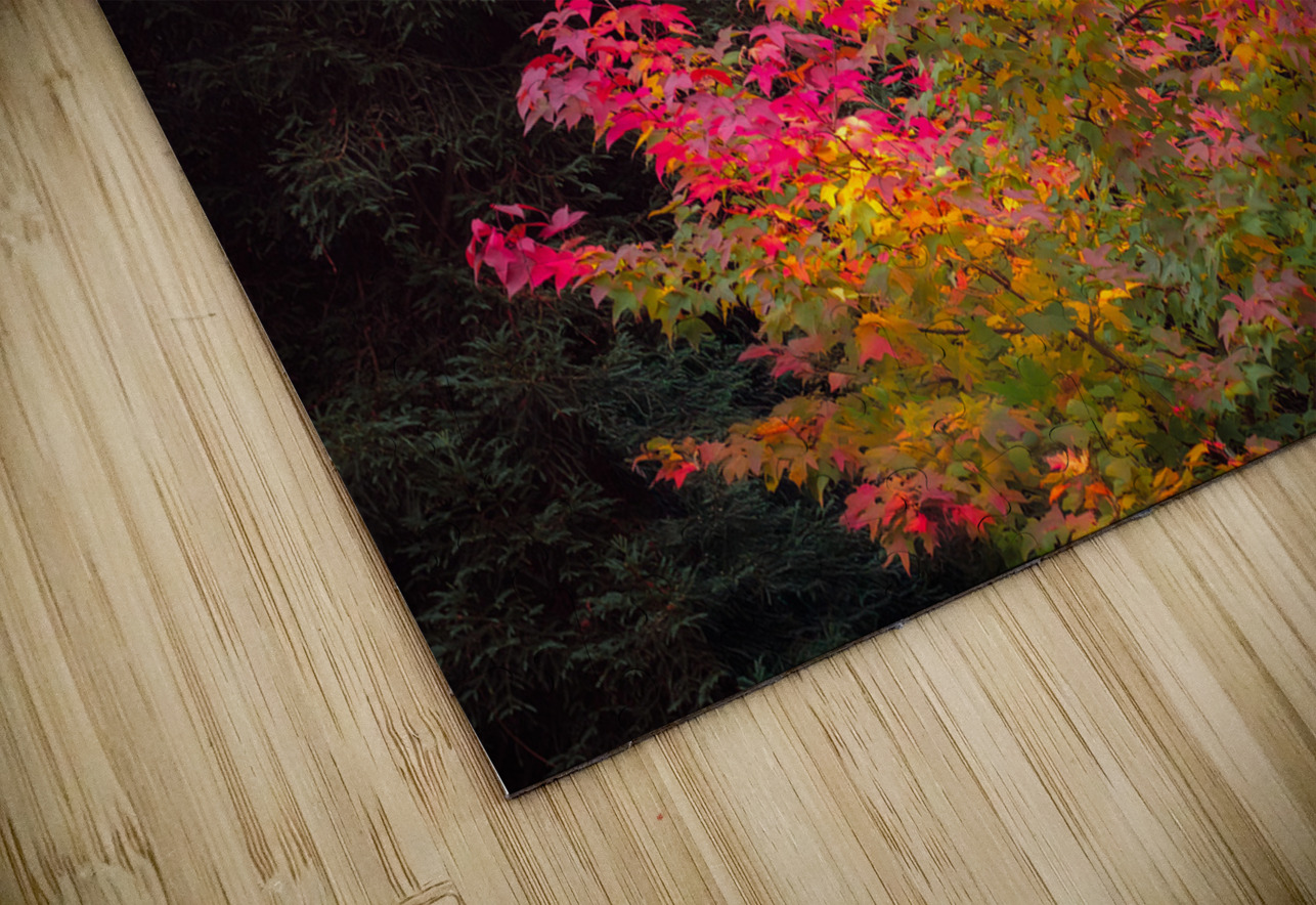 Fire Tree Dave Bowman Puzzle