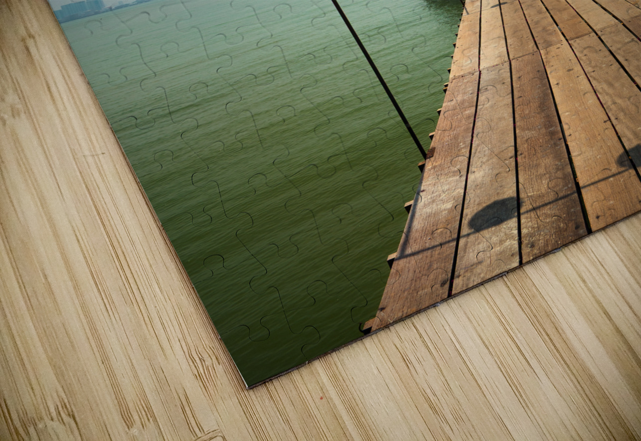 Lee Jetty Dave Bowman Puzzle