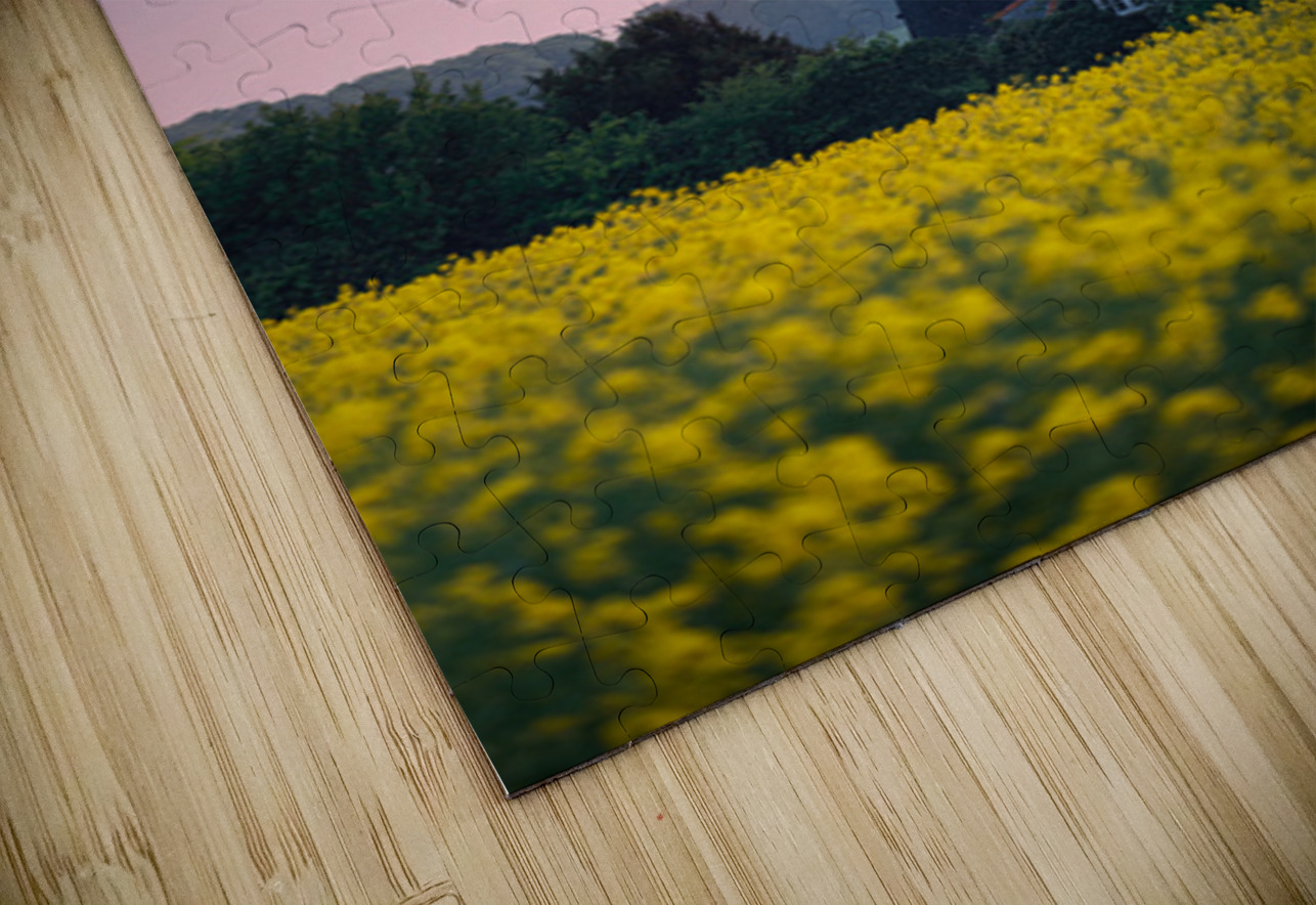 Burnham Overy Staithe Windmill Dave Bowman Puzzle