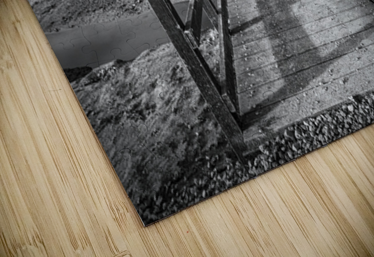 Curtis Crossing Dave Bowman Puzzle