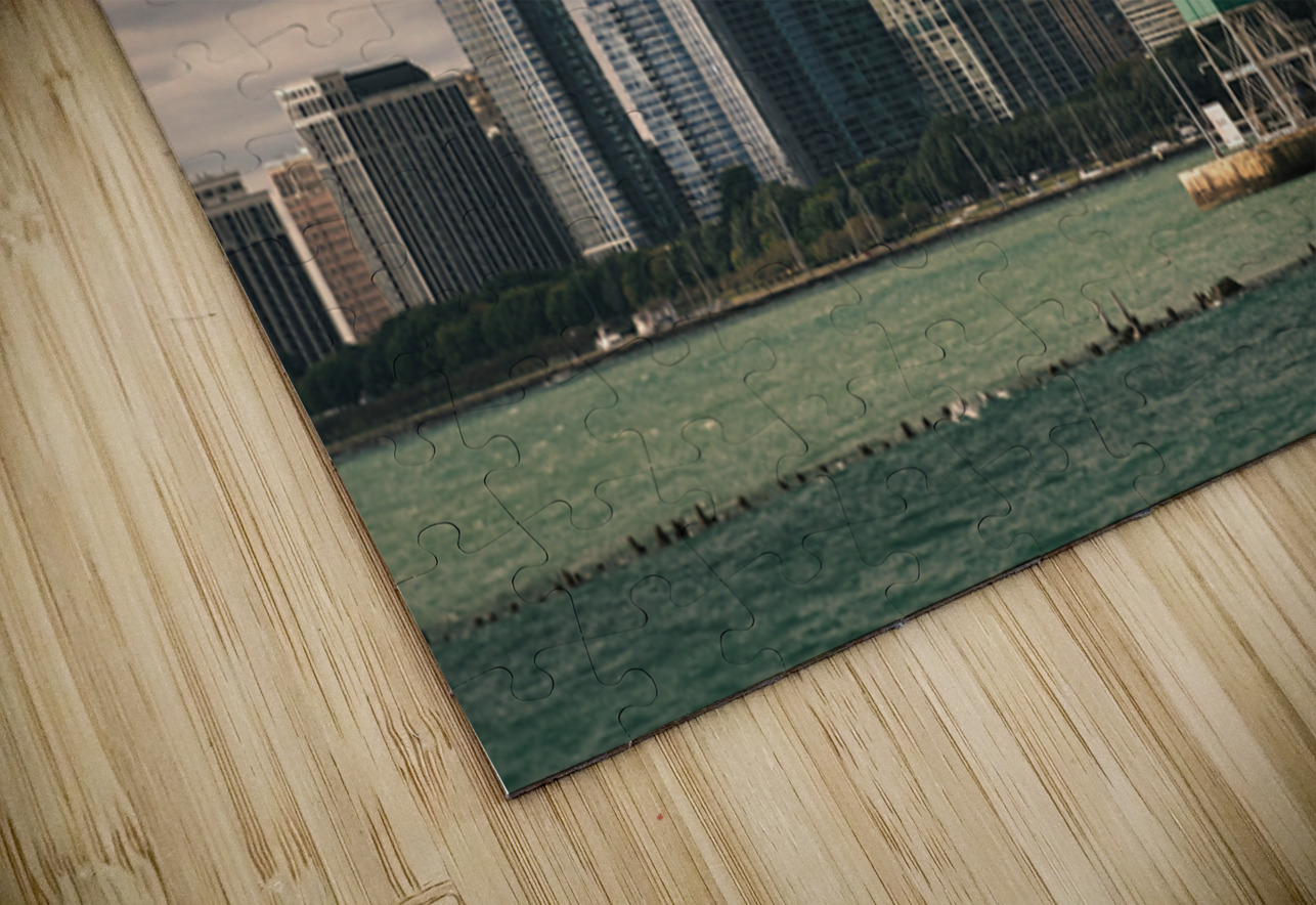 Chicago Waterfront Dave Bowman Puzzle