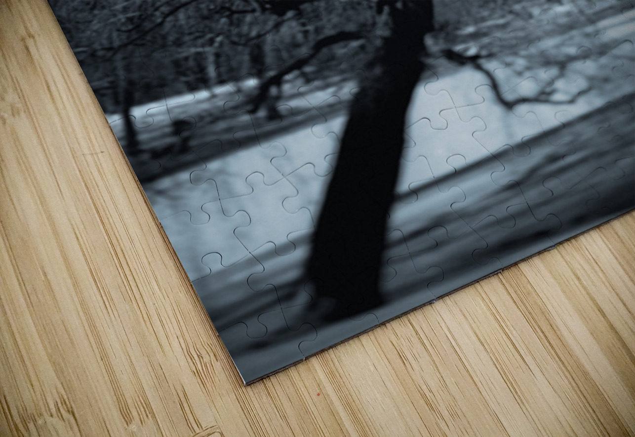 Winter in Central Park Dave Bowman Puzzle