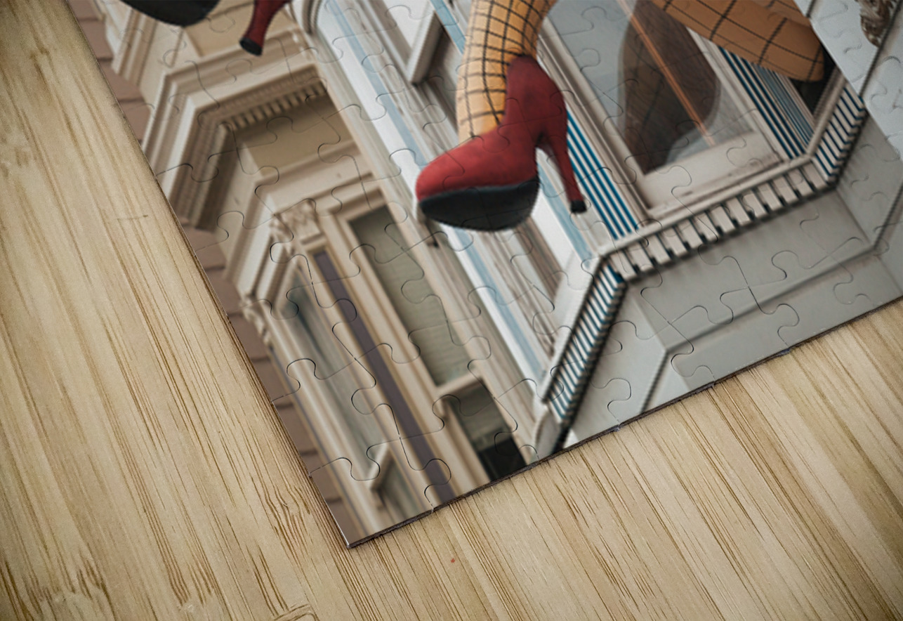 Ashbury Legs Dave Bowman Puzzle