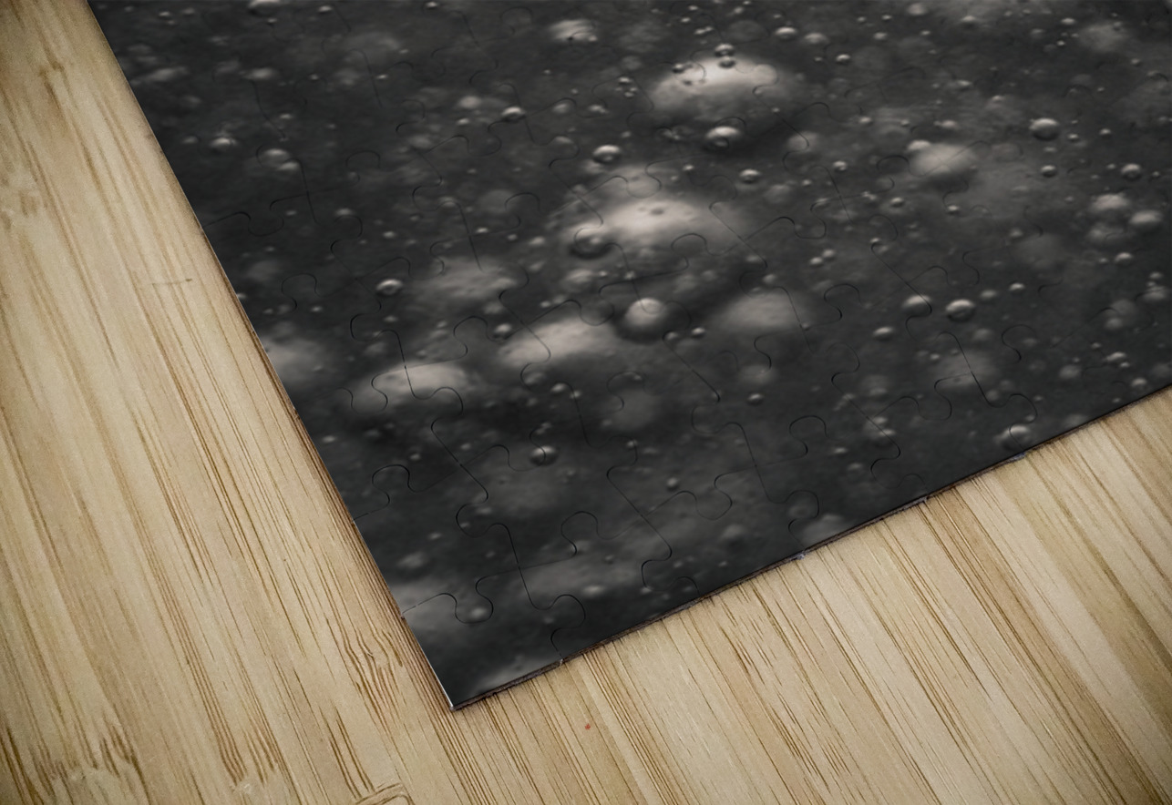 Microcosm Dave Bowman Puzzle