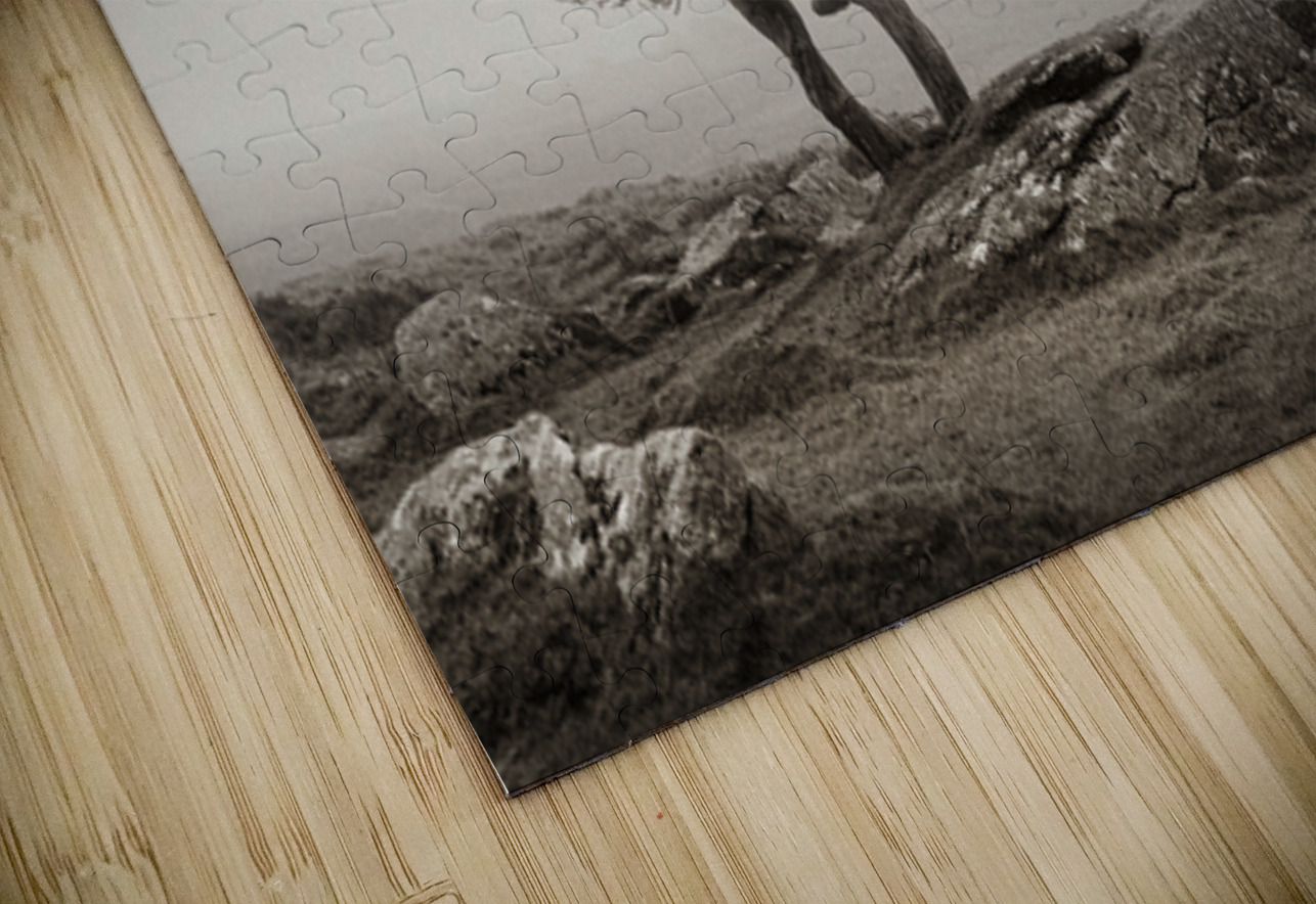 Dartmoor Solitude Dave Bowman Puzzle