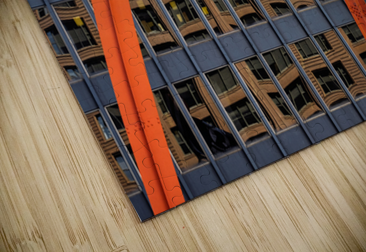 Flamingo Reflections Dave Bowman Puzzle