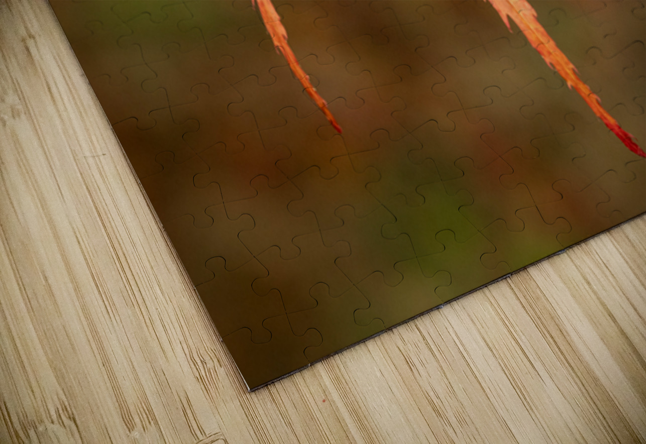 Japanese Maple Leaf Dave Bowman Puzzle