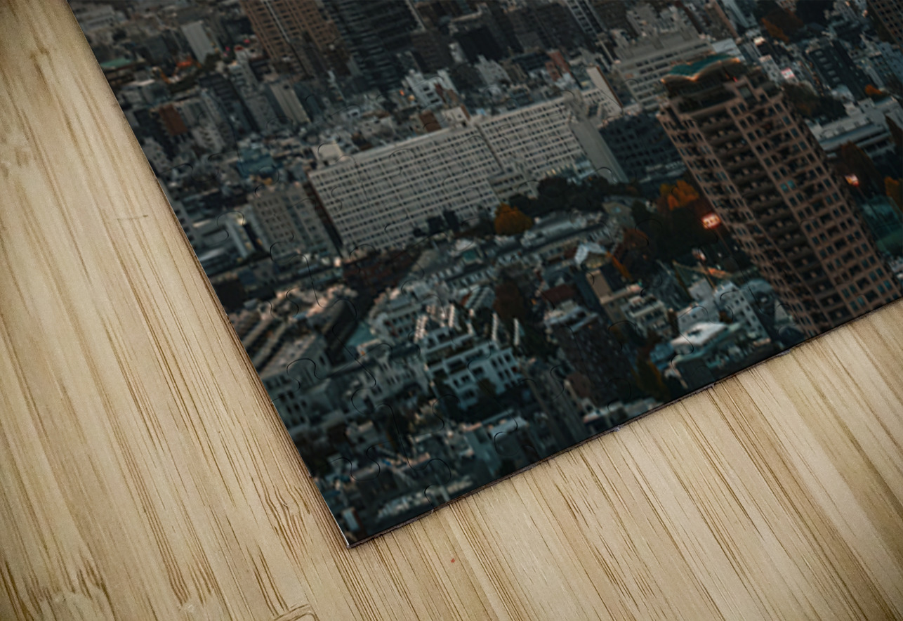 Tokyo and Mount Fuji at Sunset Dave Bowman Puzzle