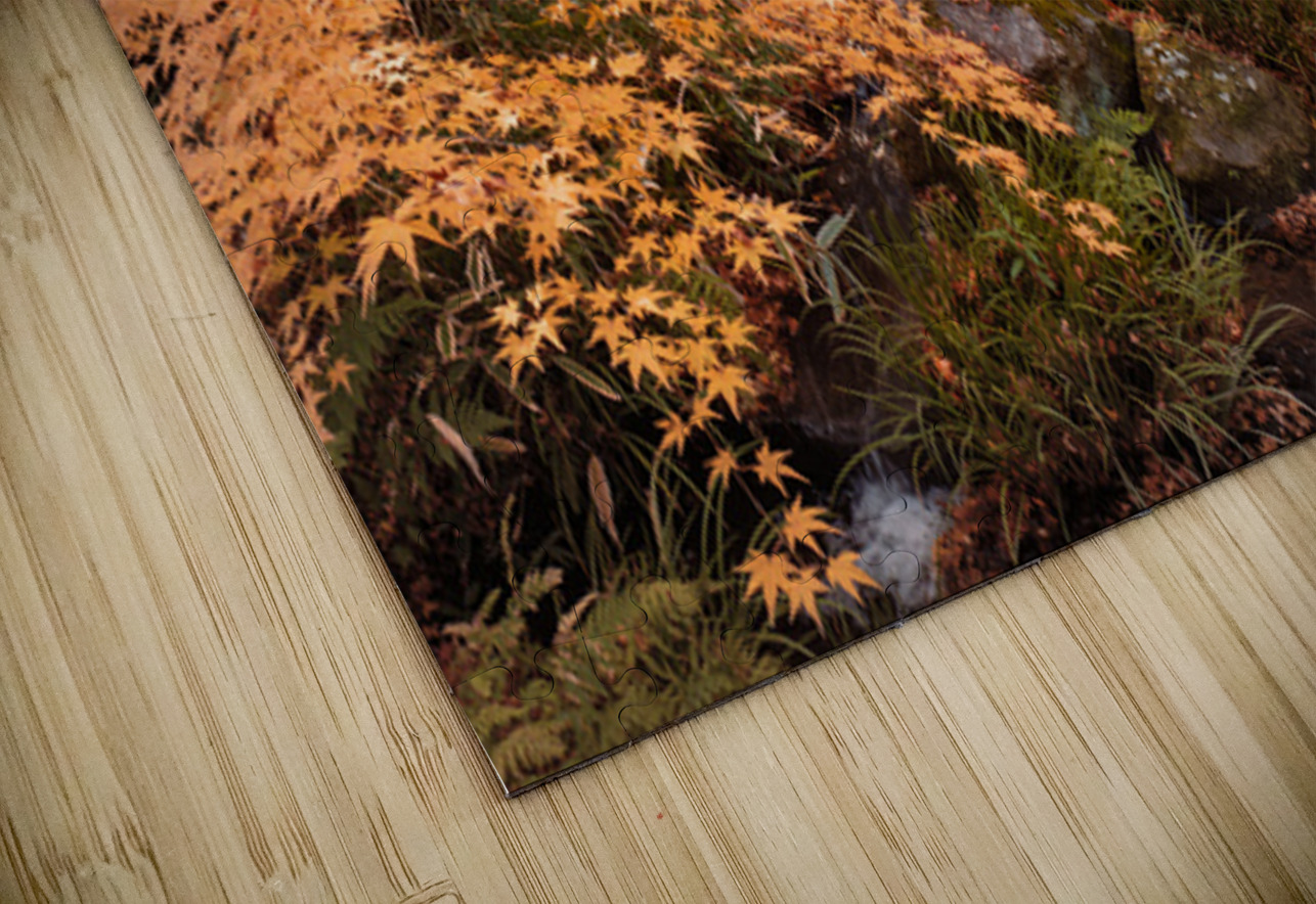 Autumn in Kokoen Garden Dave Bowman Puzzle